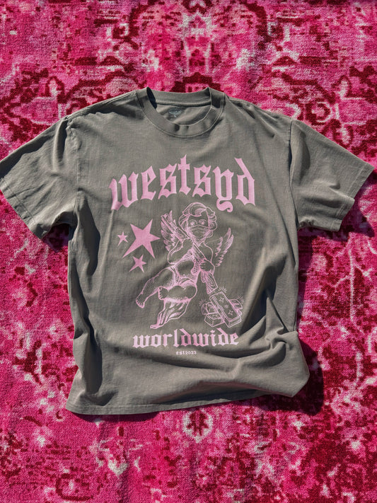 wsc pink angels